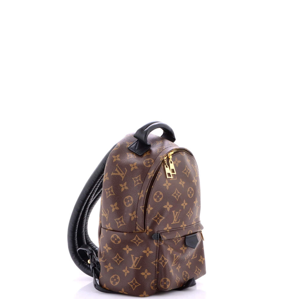 Louis Vuitton Palm Springs Backpack #257166L19B - Picture 2 of 8